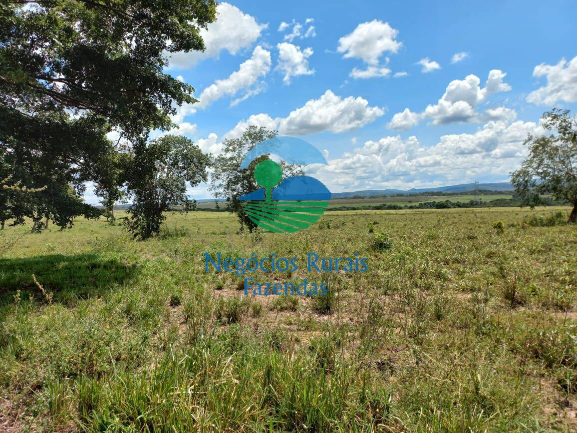 Fazenda de 3.547 ha em Presidente Kennedy, TO