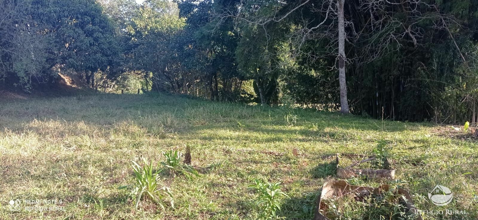 Sítio de 16 ha em São José dos Campos, SP