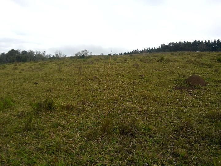 Sítio de 12 ha em Santo Antônio da Patrulha, RS