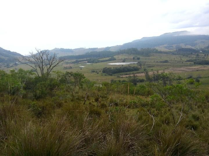 Sítio de 12 ha em Santo Antônio da Patrulha, RS