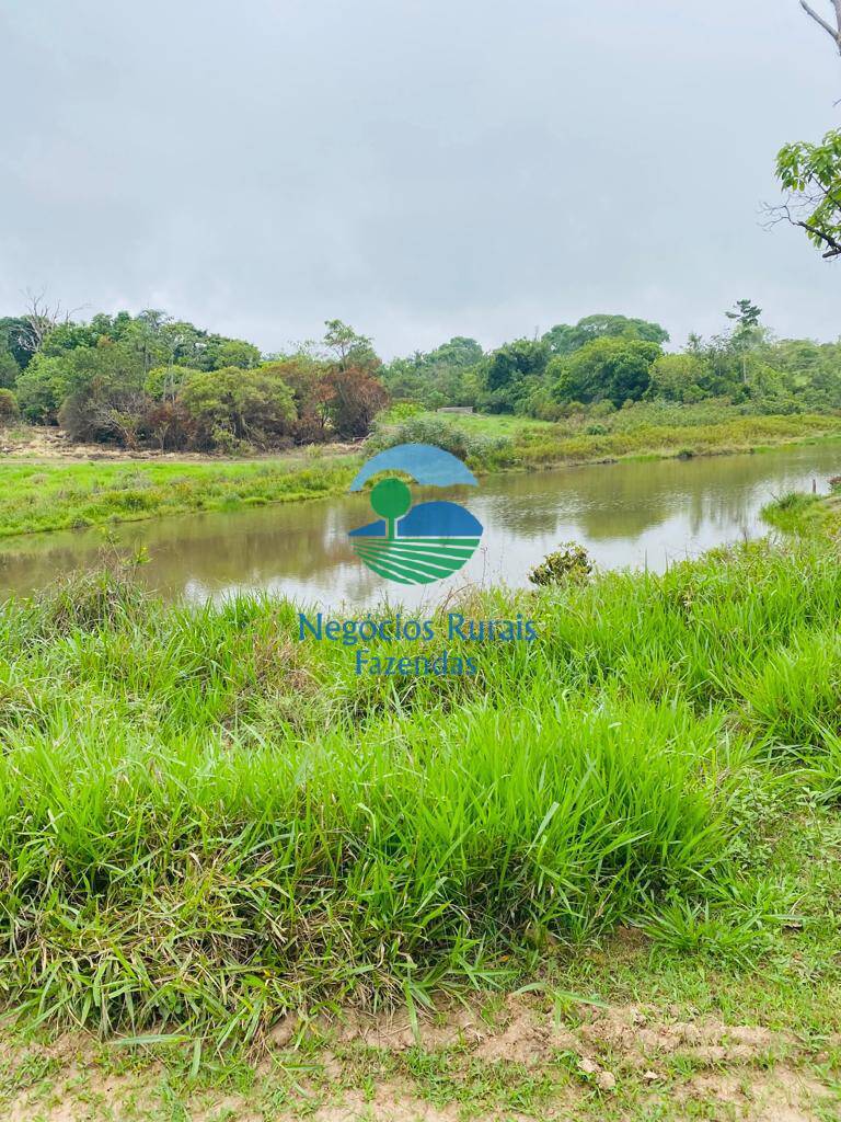 Fazenda de 193 ha em Cocalzinho de Goiás, GO