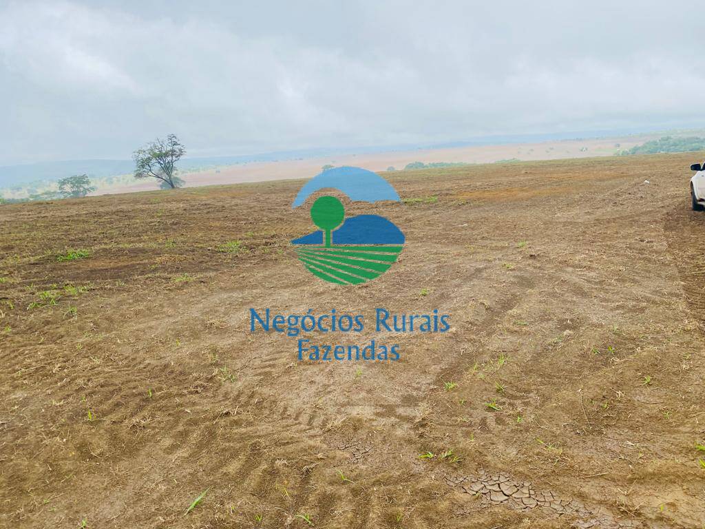 Fazenda de 193 ha em Cocalzinho de Goiás, GO