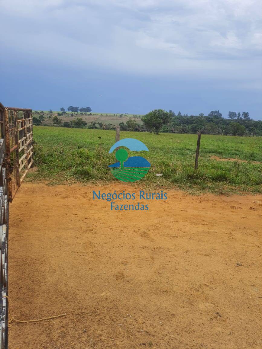 Fazenda de 193 ha em Cocalzinho de Goiás, GO