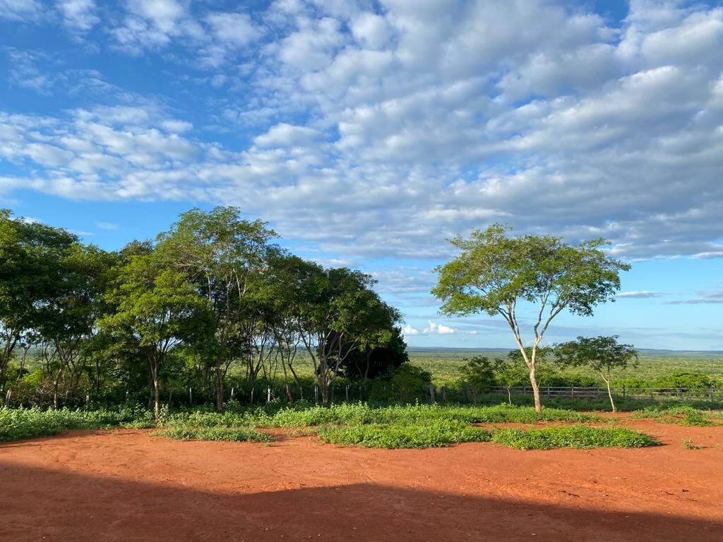 Fazenda de 560 ha em Andaraí, BA