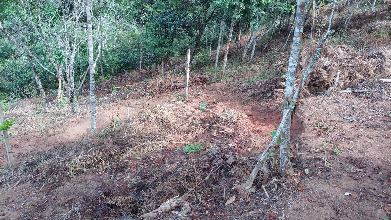 Chácara de 3 ha em Monteiro Lobato, SP