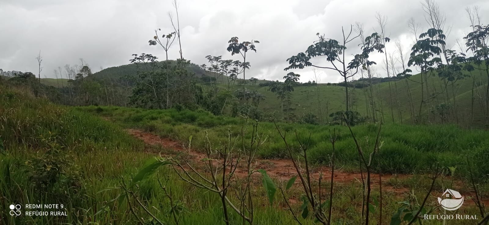 Terreno de 3 ha em Monteiro Lobato, SP