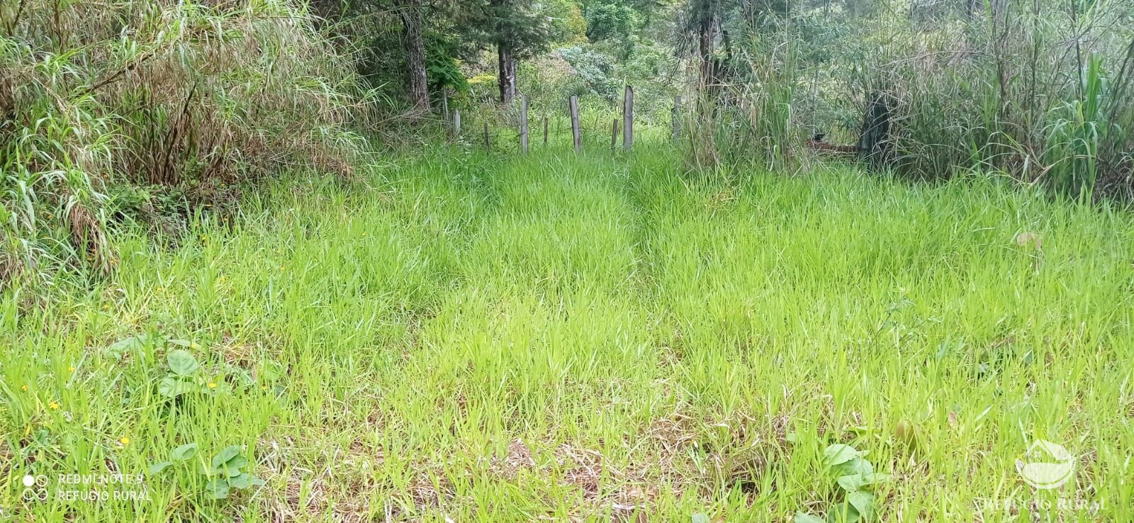 Terreno de 3 ha em Monteiro Lobato, SP