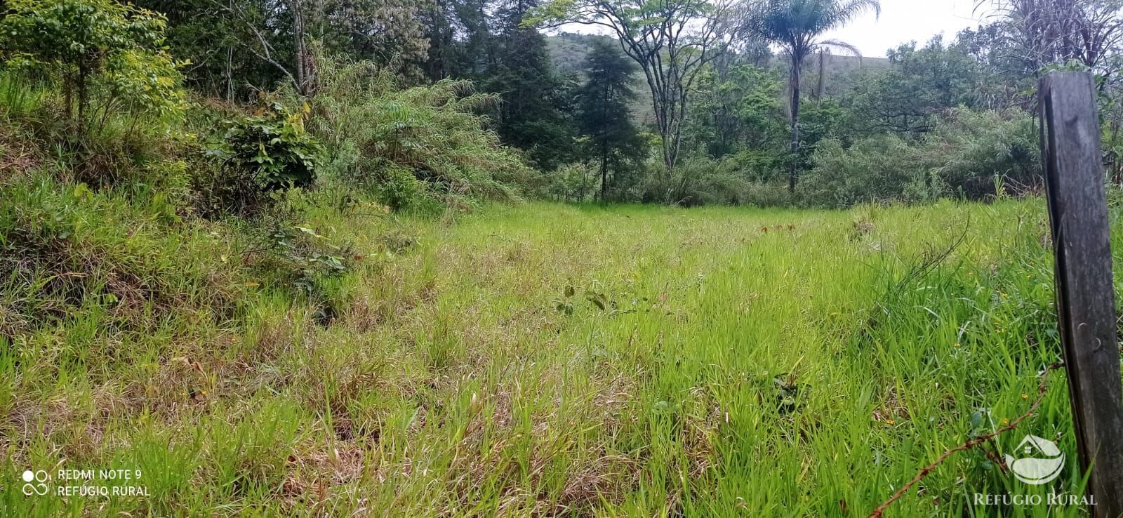 Terreno de 3 ha em Monteiro Lobato, SP