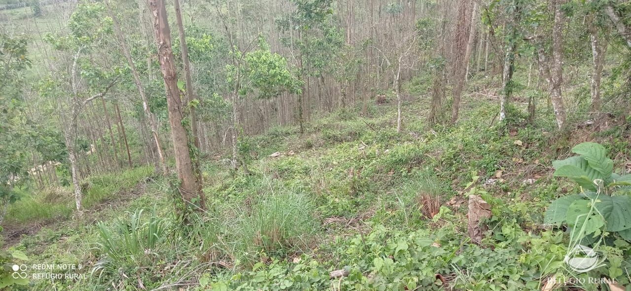 Terreno de 3 ha em Monteiro Lobato, SP