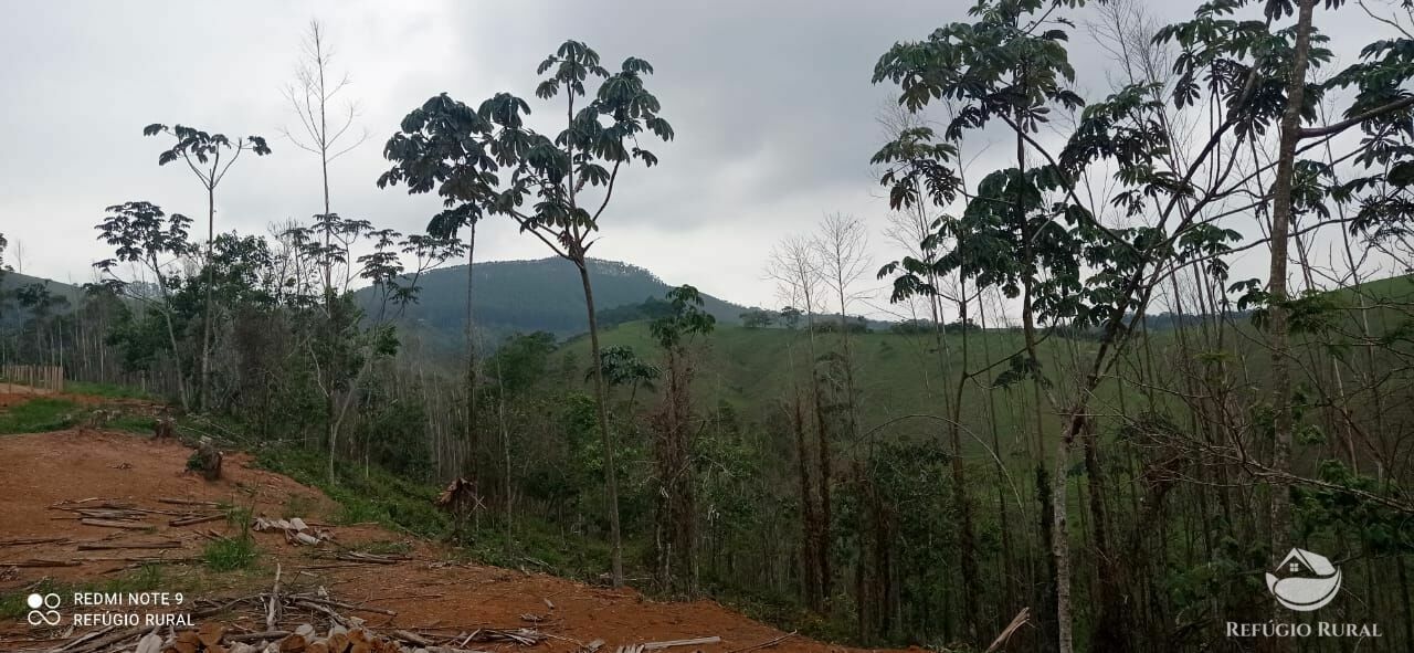 Terreno de 3 ha em Monteiro Lobato, SP