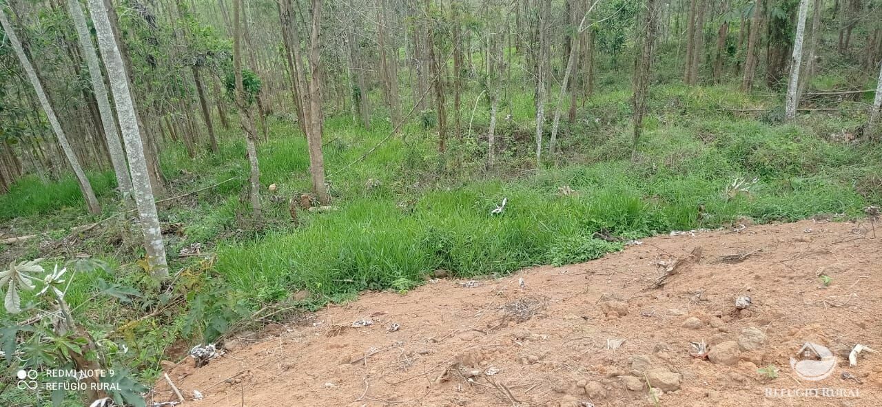 Terreno de 3 ha em Monteiro Lobato, SP