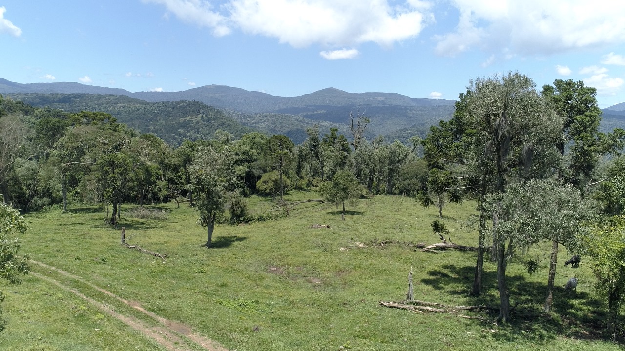 Sítio de 16 ha em Urubici, SC