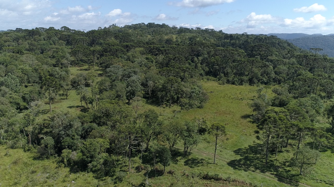 Sítio de 16 ha em Urubici, SC