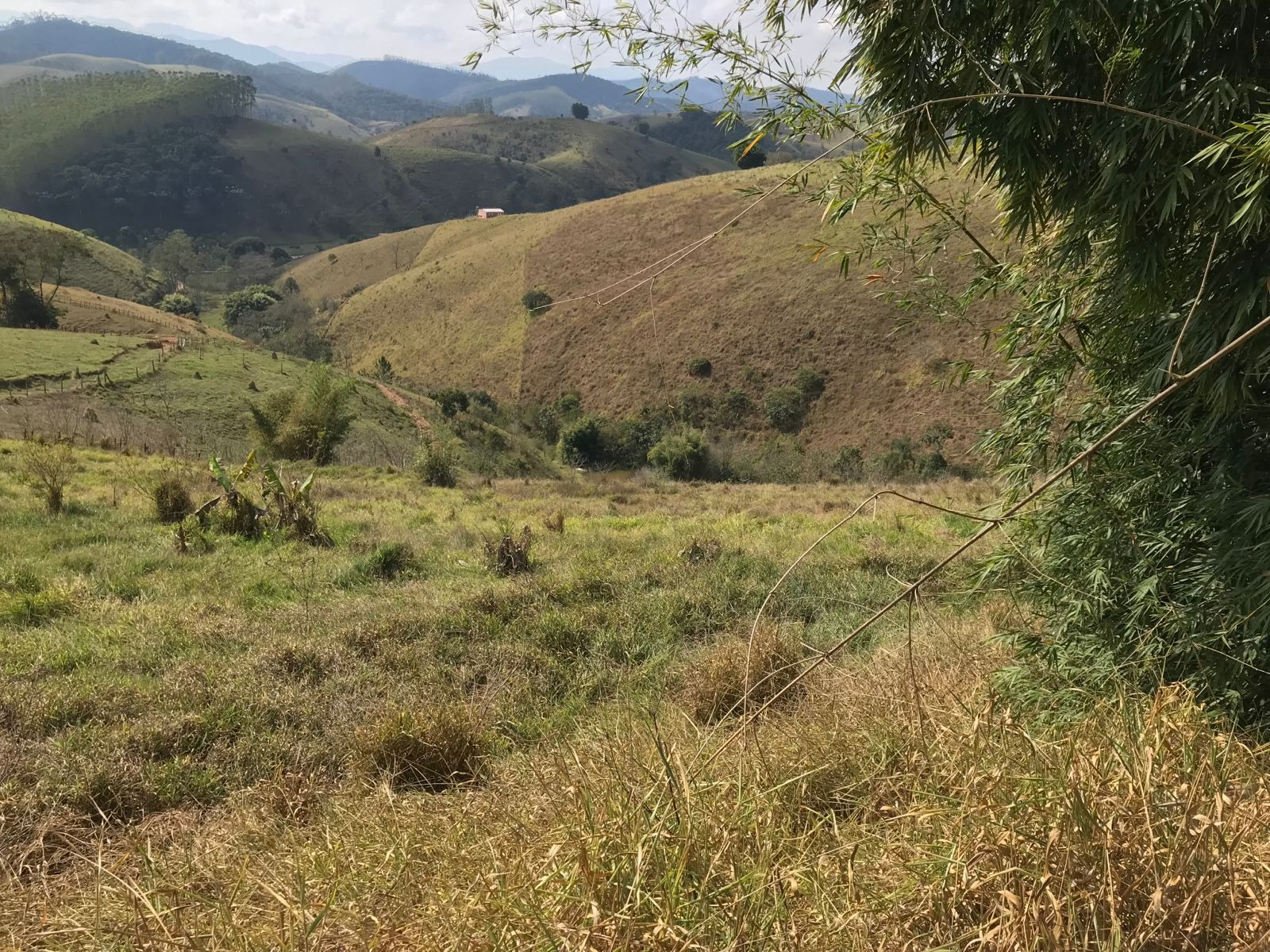 Chácara de 2 ha em São José dos Campos, SP