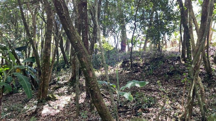 Terreno de 1.900 m² em Santo Antônio da Patrulha, RS