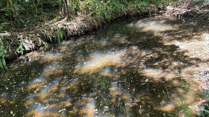 Terreno de 1.900 m² em Santo Antônio da Patrulha, RS