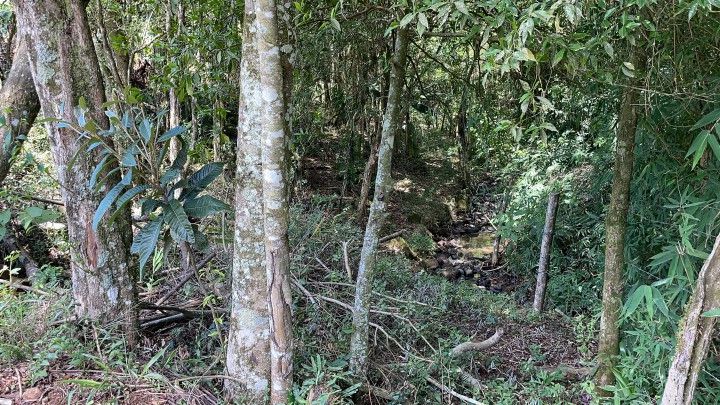 Terreno de 1.900 m² em Santo Antônio da Patrulha, RS