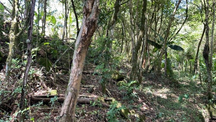 Terreno de 1.900 m² em Santo Antônio da Patrulha, RS