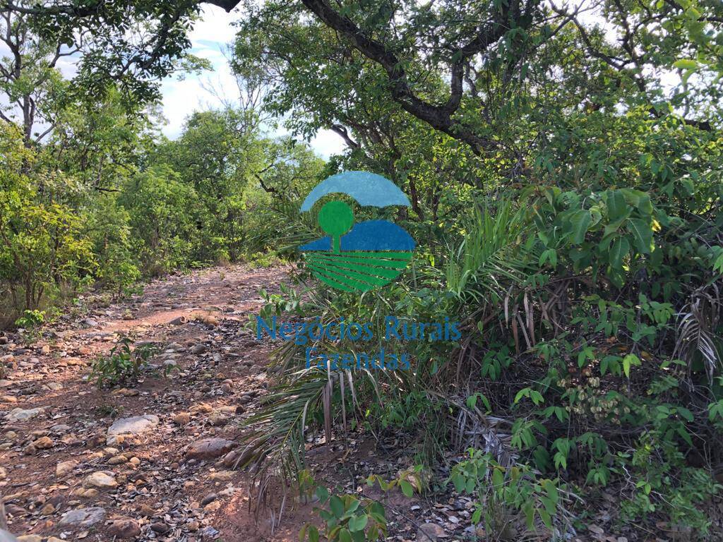 Fazenda de 517 ha em São Valério, TO