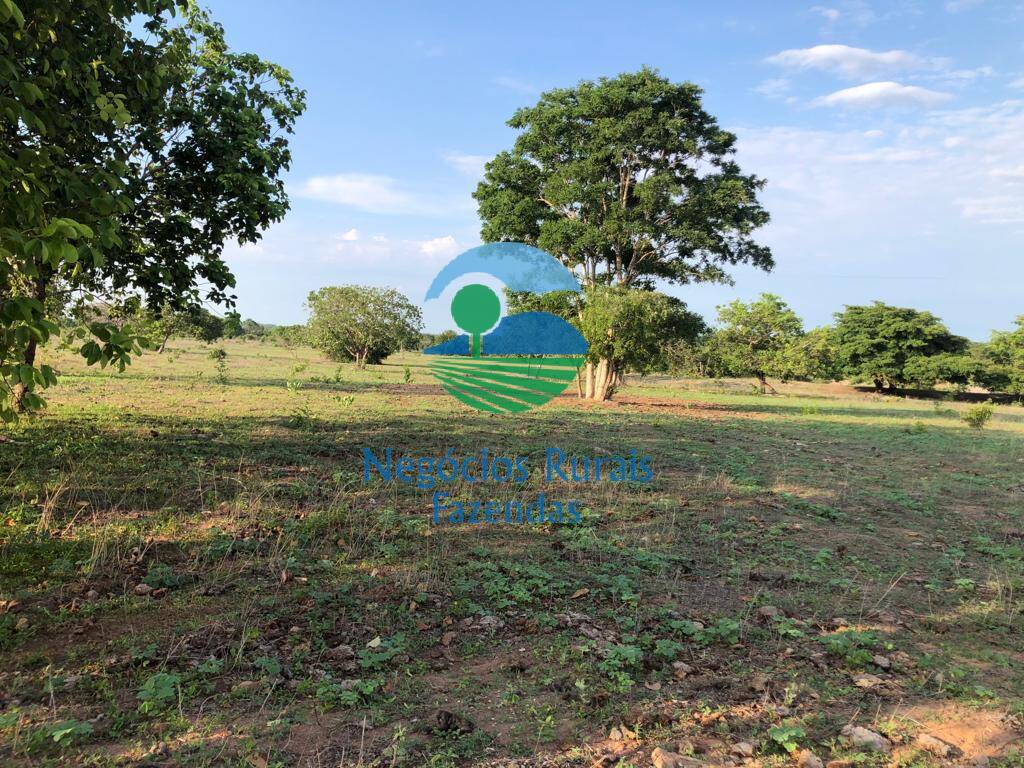 Fazenda de 517 ha em São Valério, TO