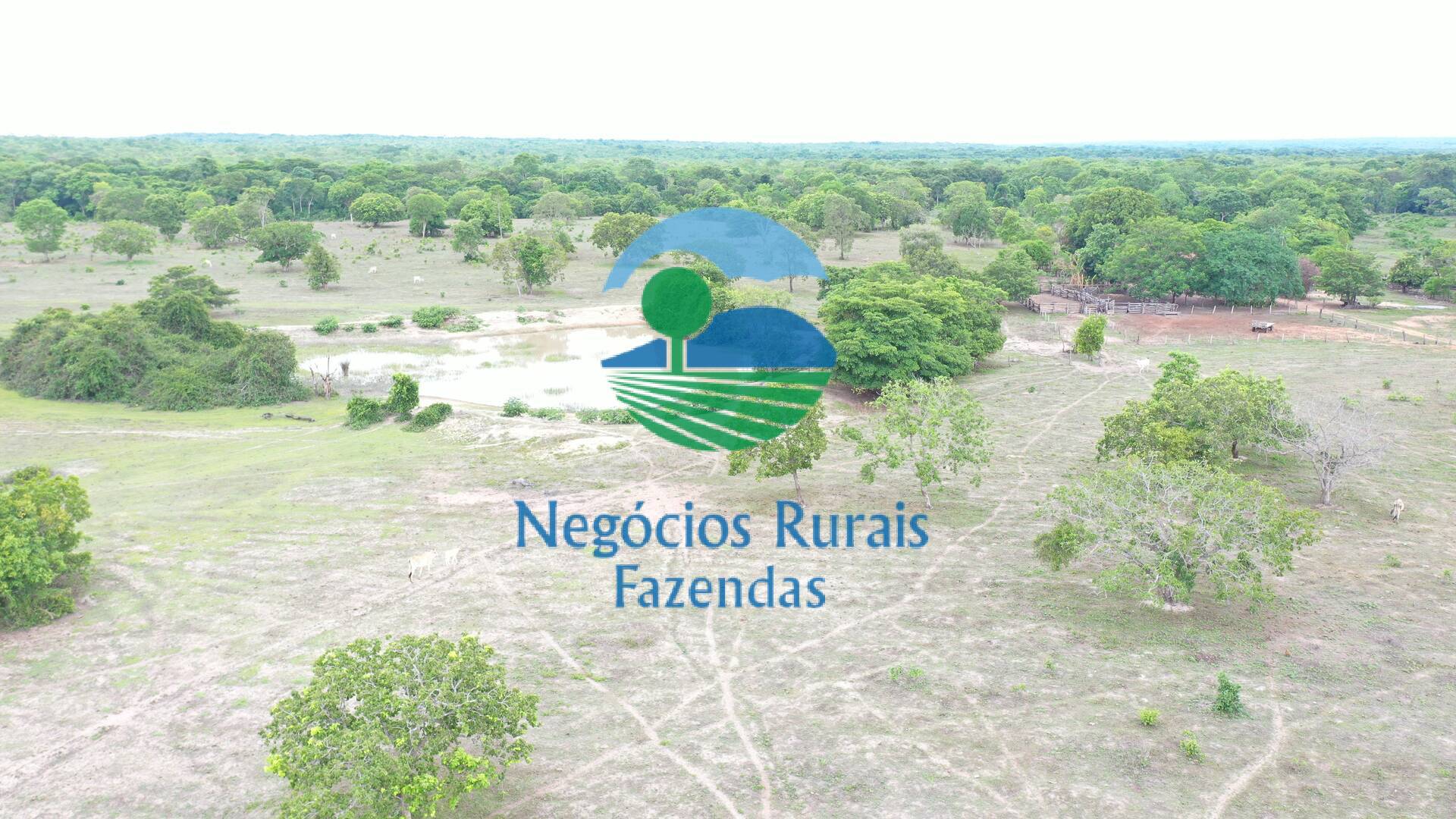 Fazenda de 517 ha em São Valério, TO