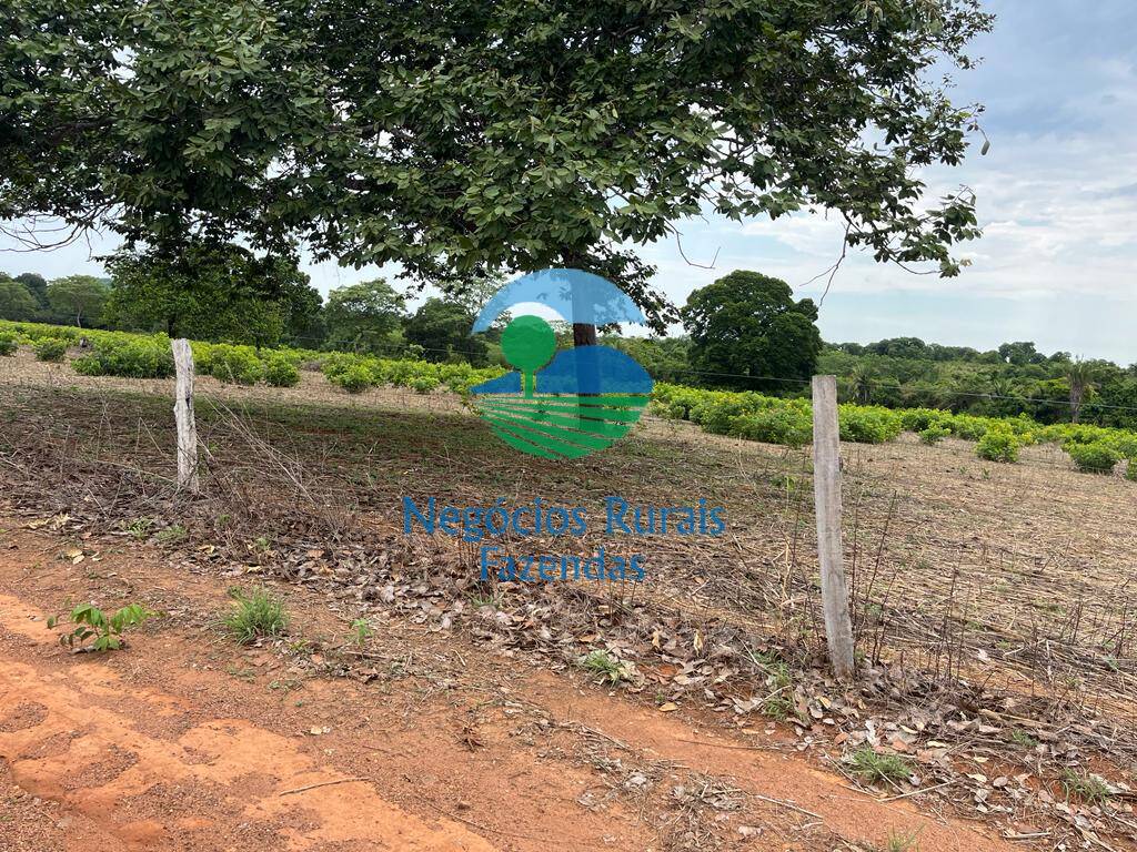 Fazenda de 517 ha em São Valério, TO