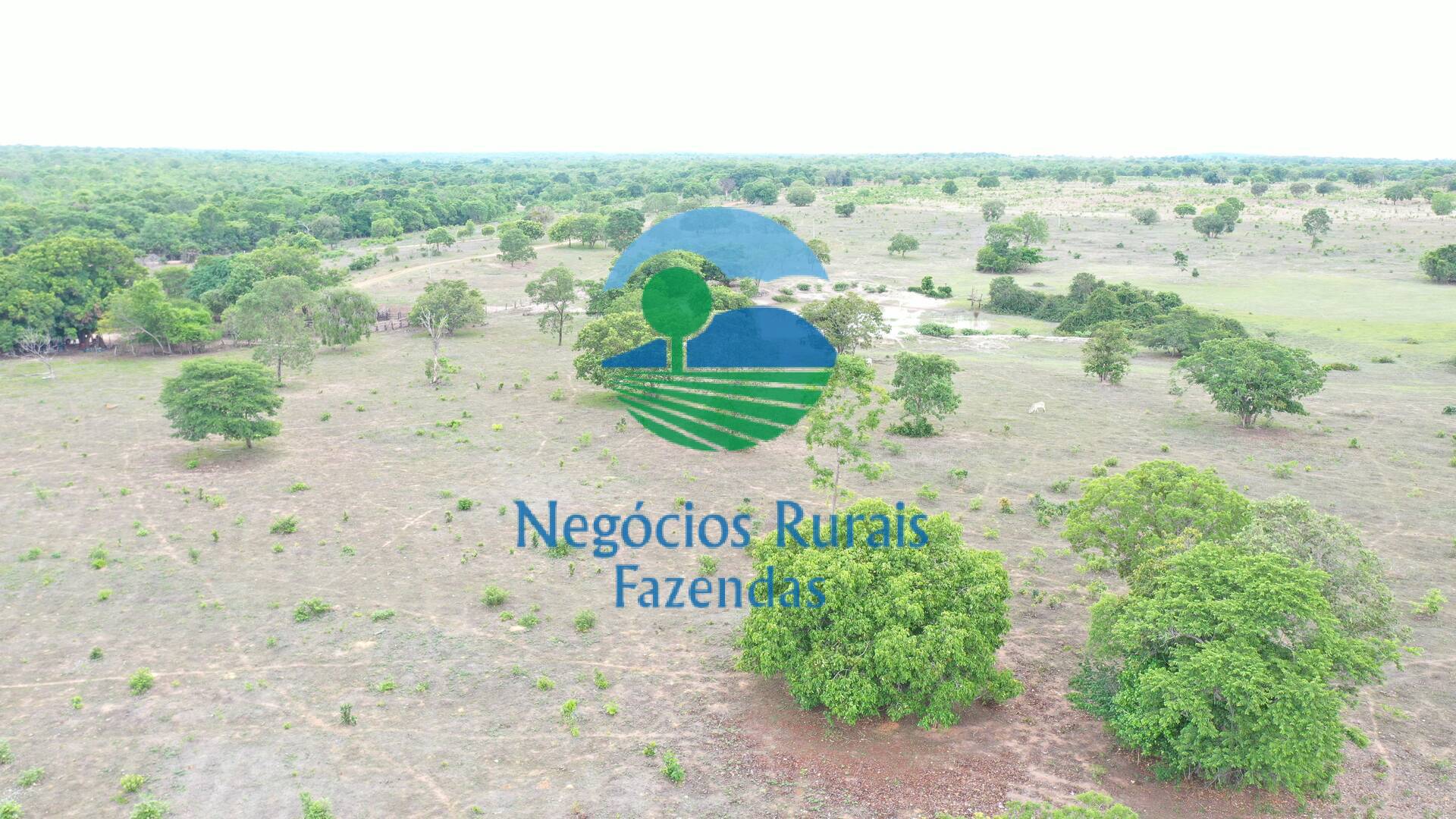 Fazenda de 517 ha em São Valério, TO