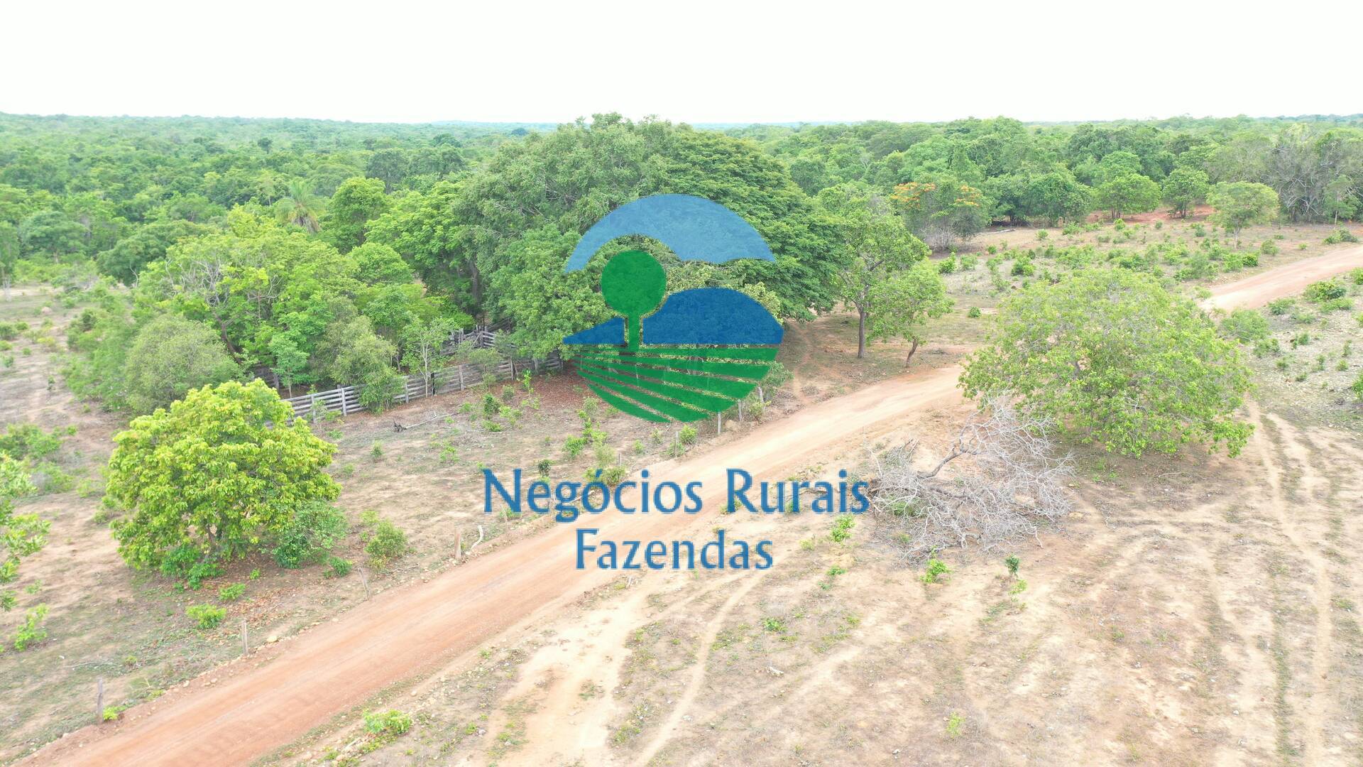 Fazenda de 517 ha em São Valério, TO