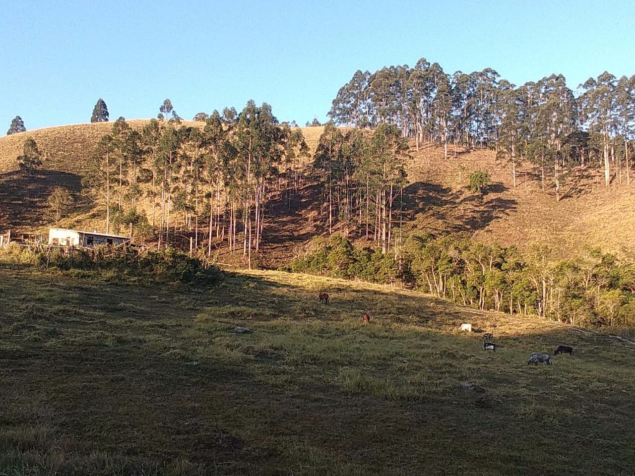 Sítio de 12 ha em Natividade da Serra, SP