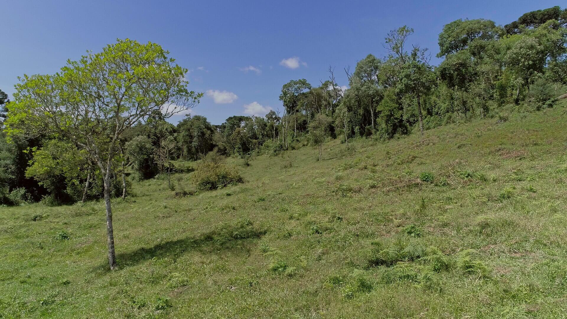 Sítio de 5 ha em Urubici, SC