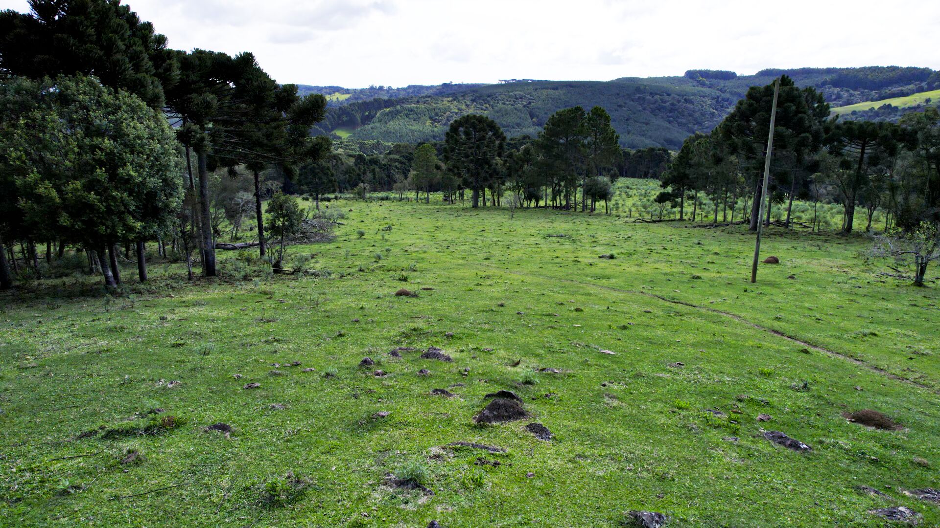 Terreno de 14 ha em Ponte Alta, SC