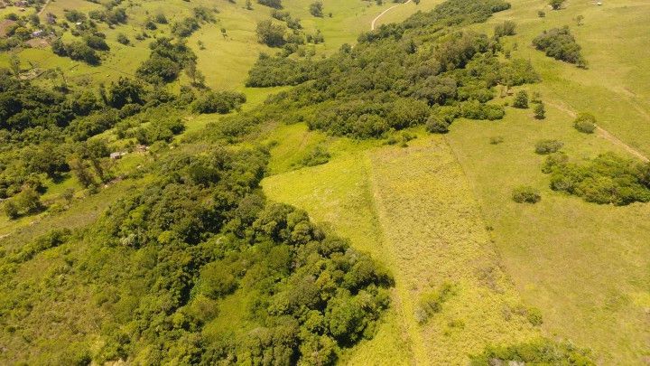 Sítio de 6 ha em Santo Antônio da Patrulha, RS