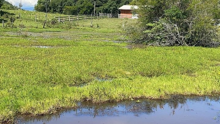 Sítio de 6 ha em Santo Antônio da Patrulha, RS