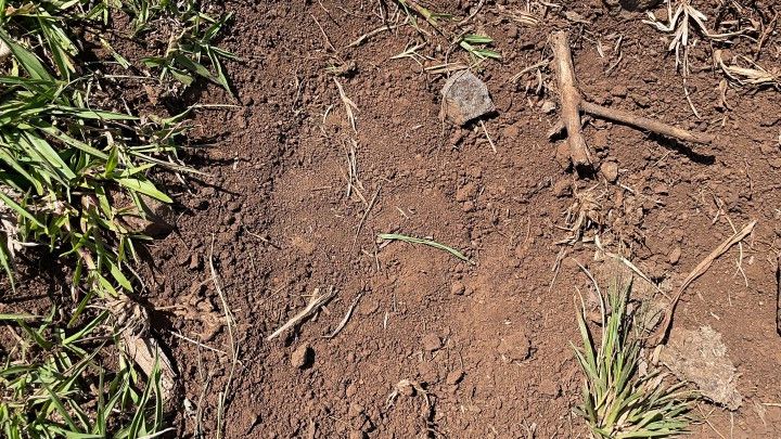 Sítio de 6 ha em Santo Antônio da Patrulha, RS