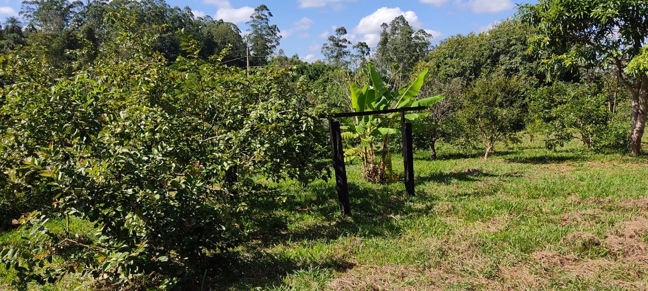 Sítio de 4 ha em Taubaté, SP