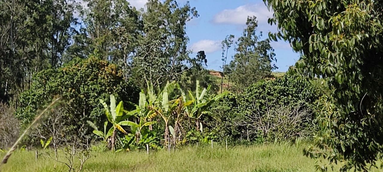 Sítio de 4 ha em Taubaté, SP