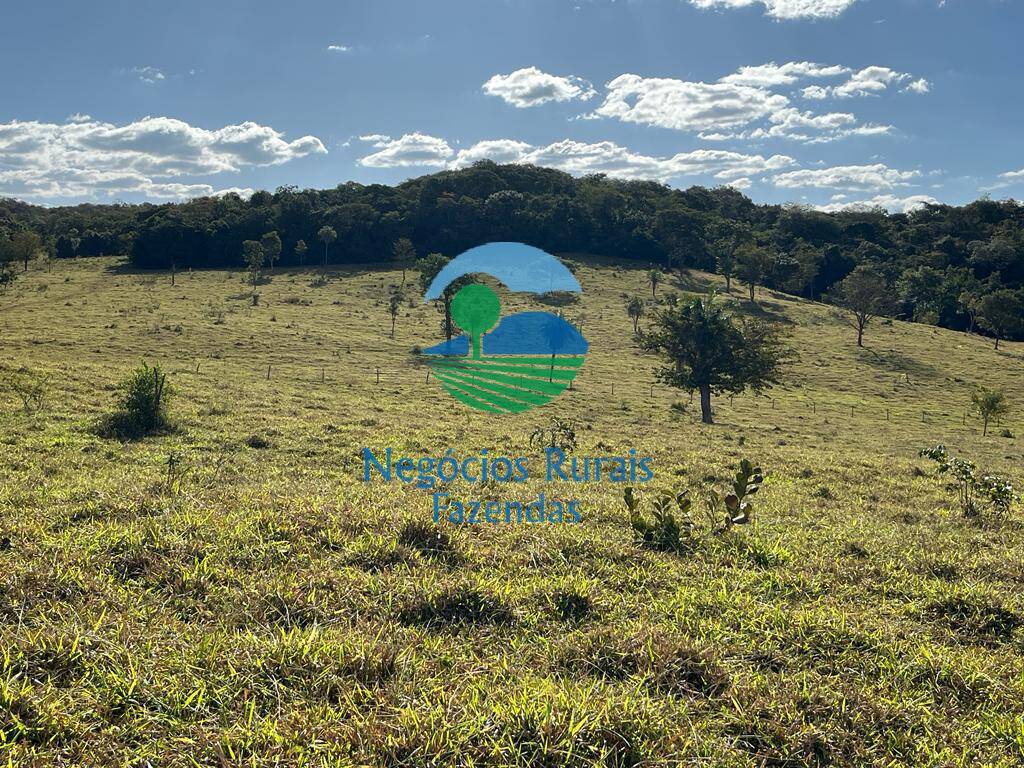 Fazenda de 206 ha em Cromínia, GO