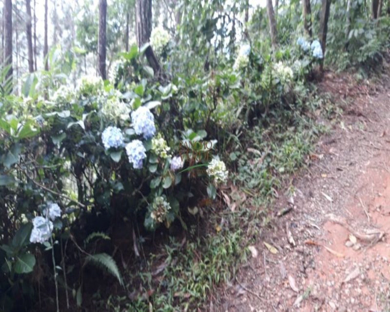 Terreno de 2 ha em São José dos Campos, SP