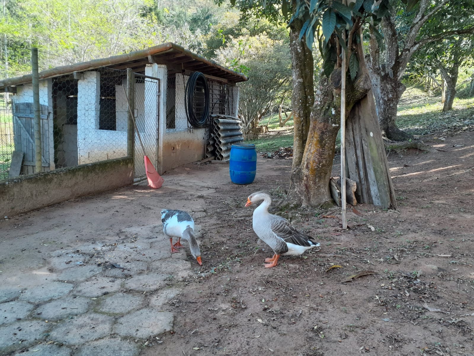 Sítio de 5 ha em São José dos Campos, SP