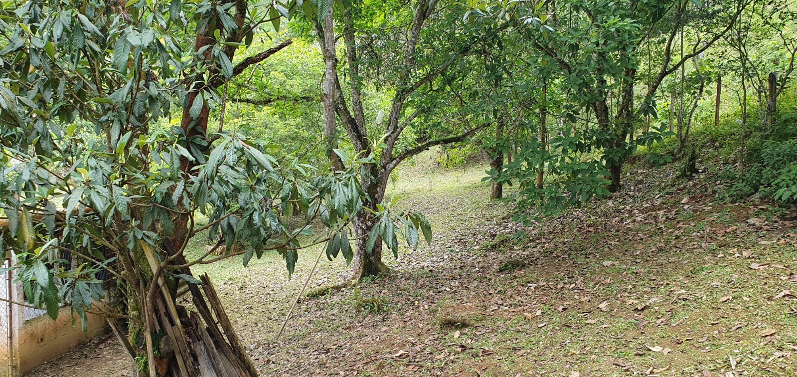 Sítio de 5 ha em São José dos Campos, SP