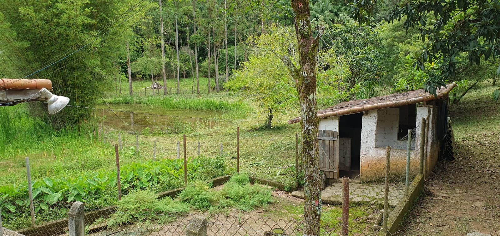 Sítio de 5 ha em São José dos Campos, SP