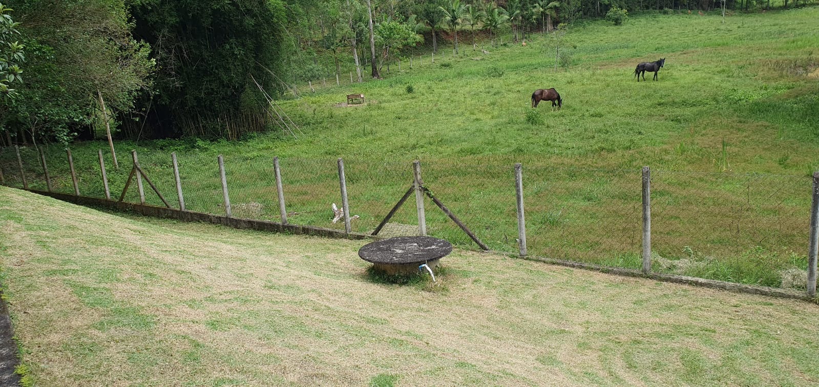 Sítio de 5 ha em São José dos Campos, SP