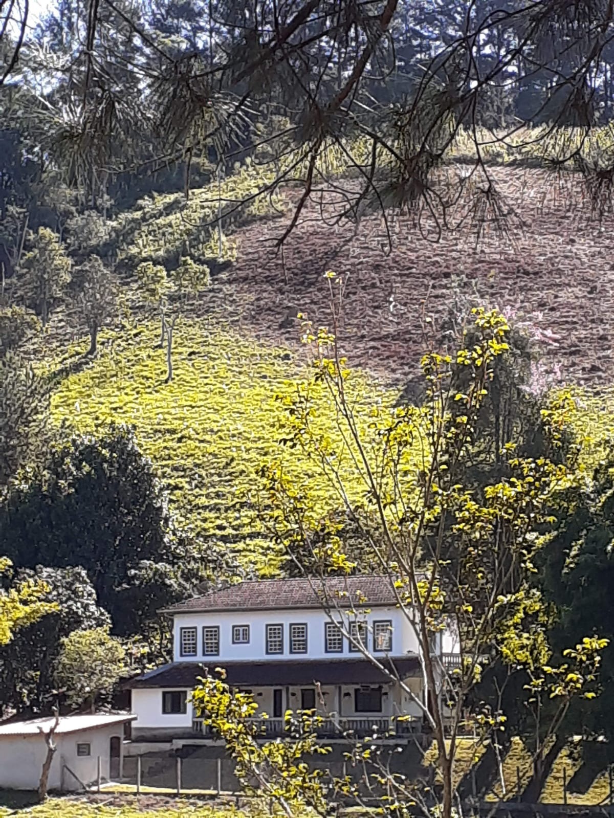 Sítio de 5 ha em São José dos Campos, SP