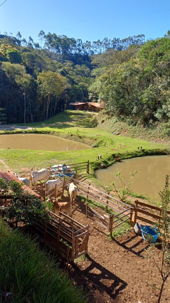 Sítio de 6 ha em Paraibuna, SP