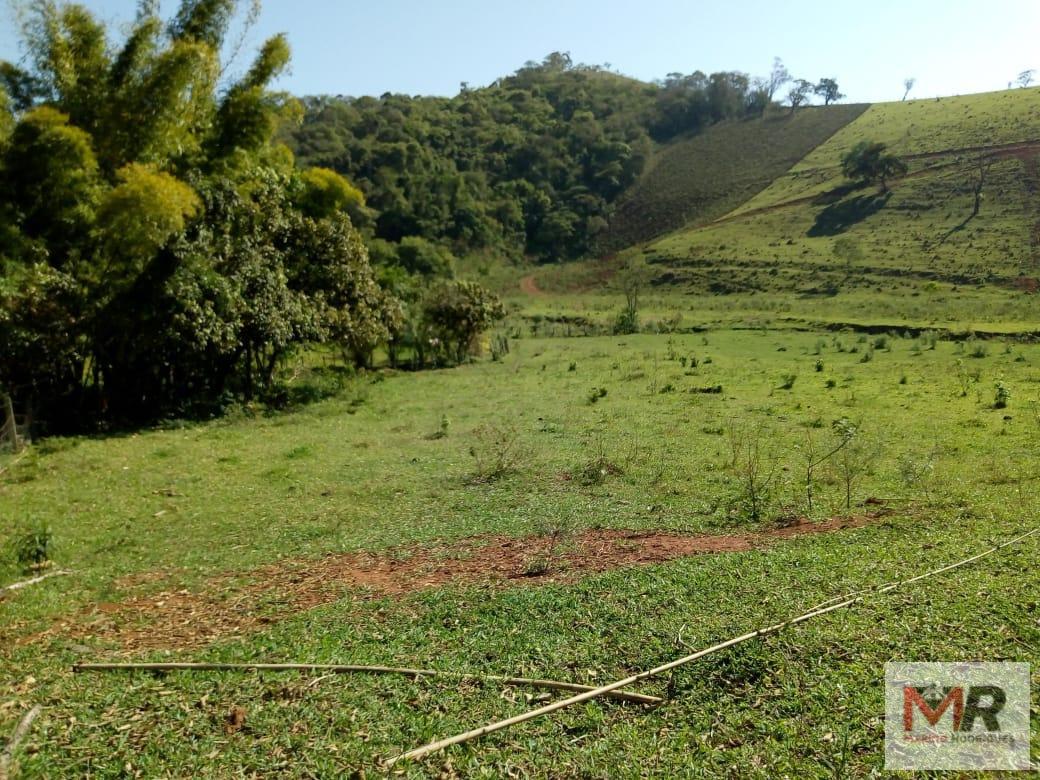 Fazenda de 48 ha em Cambuí, MG