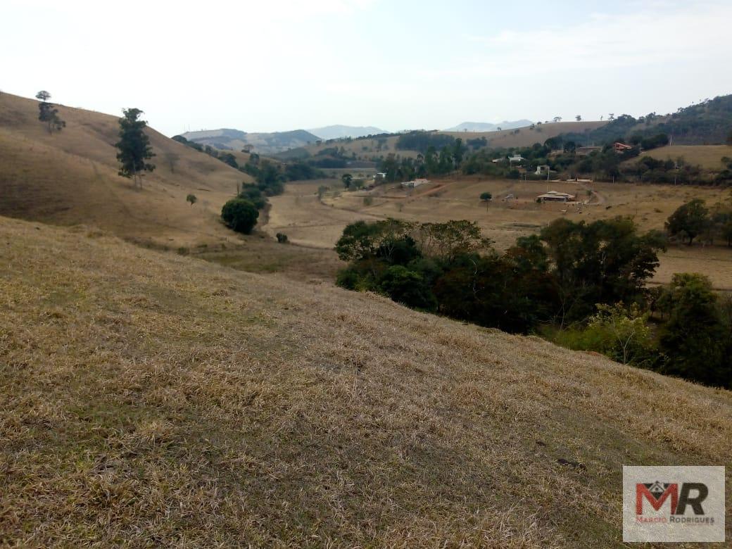 Fazenda de 48 ha em Cambuí, MG