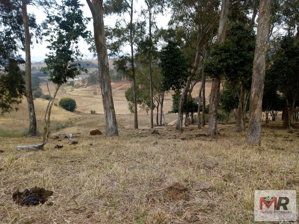 Fazenda de 48 ha em Cambuí, MG