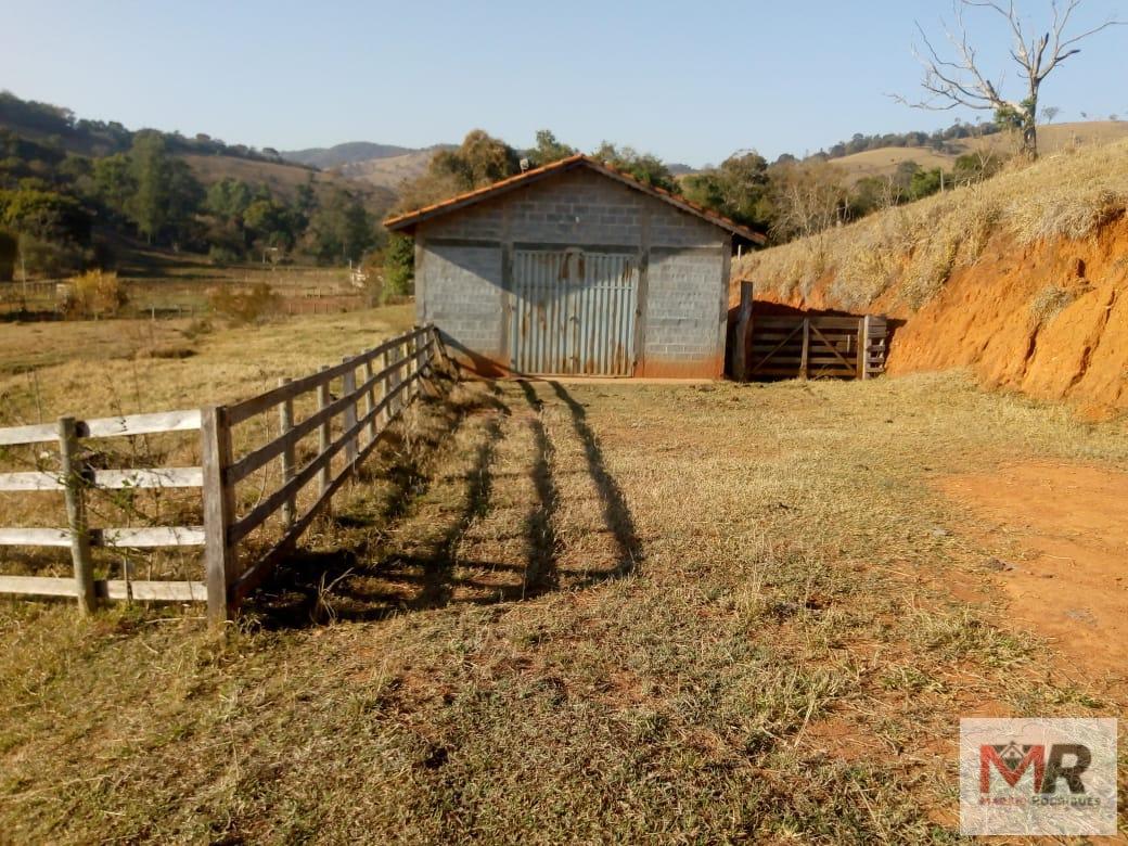 Fazenda de 48 ha em Cambuí, MG