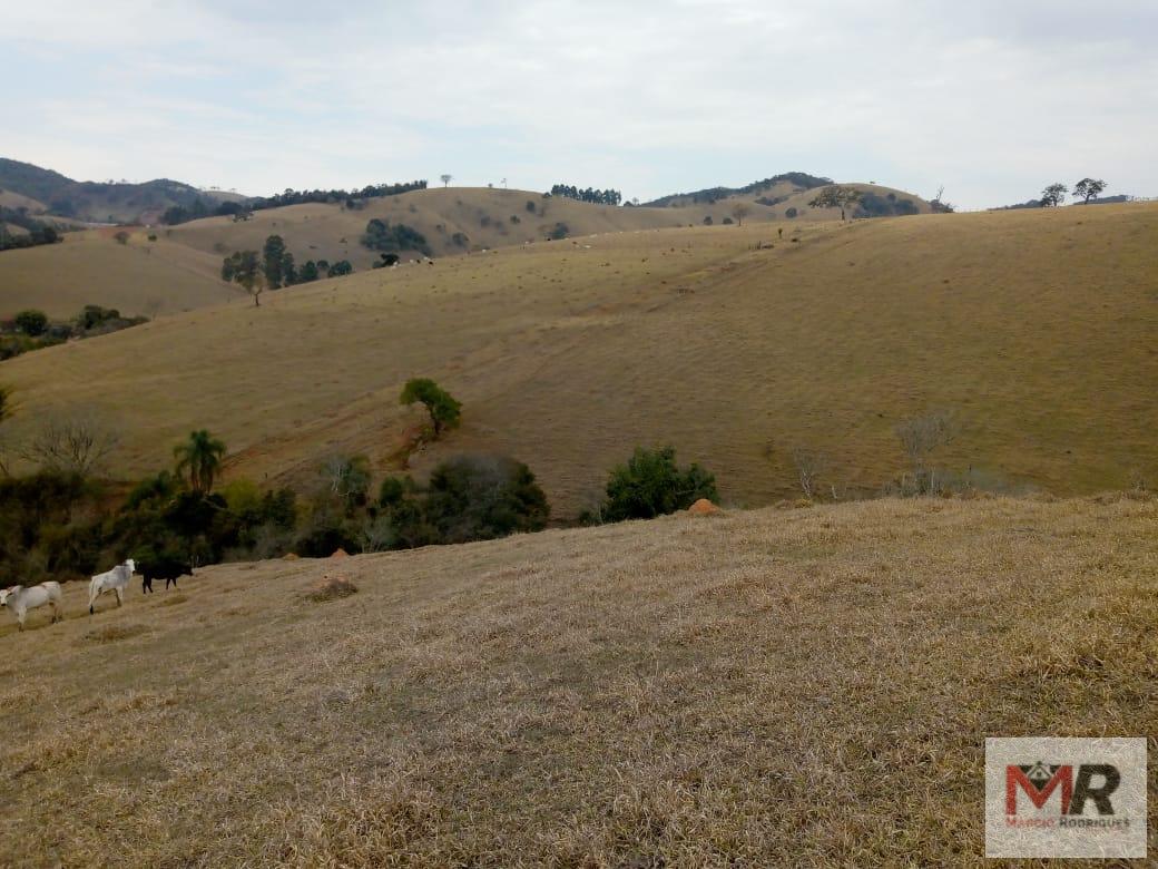 Fazenda de 48 ha em Cambuí, MG