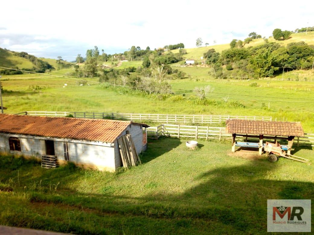 Fazenda de 48 ha em Cambuí, MG